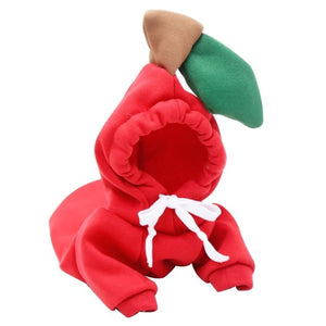 Dog Hoodie